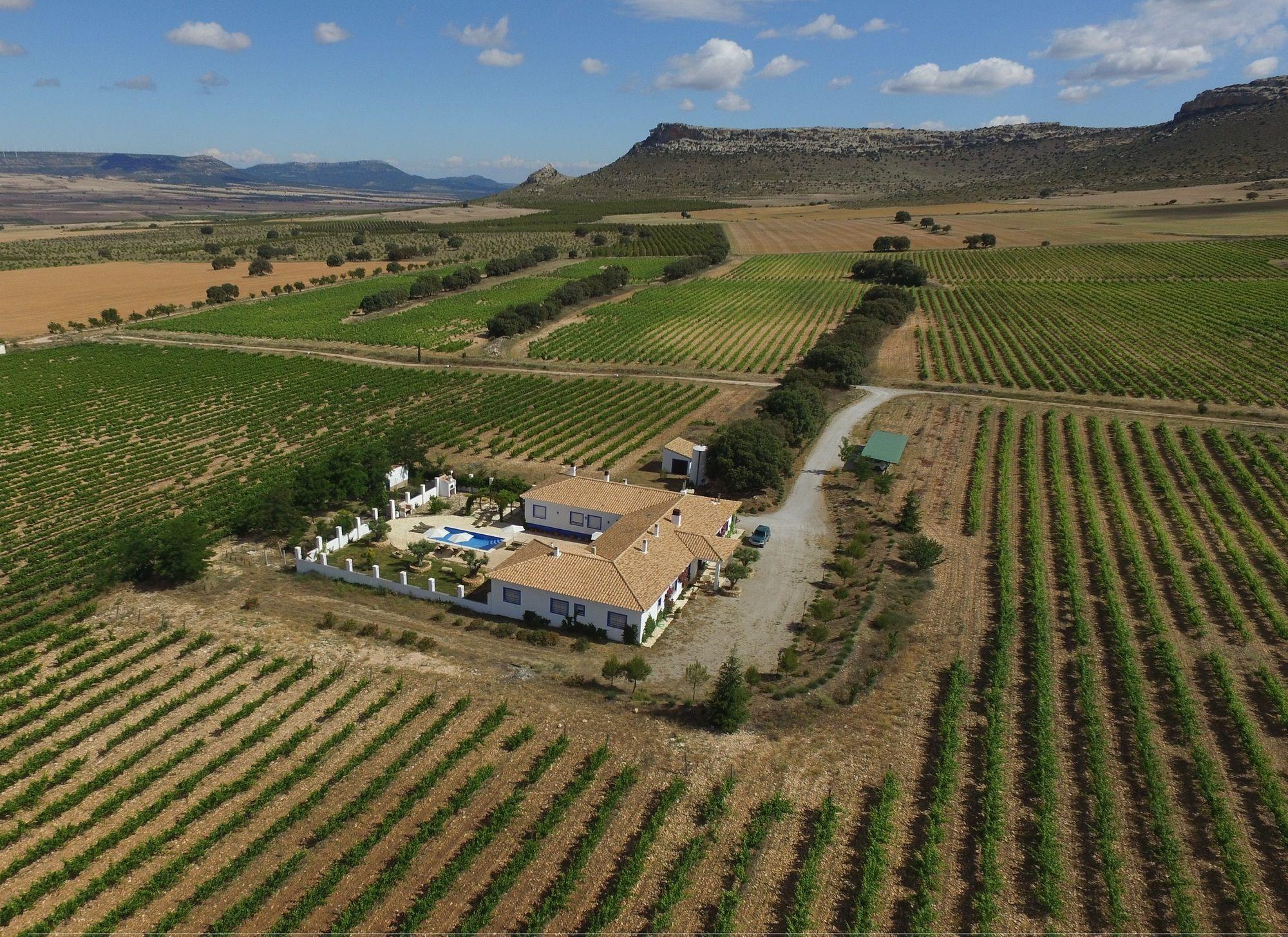 Finca El Romeral Alpera Exterior foto