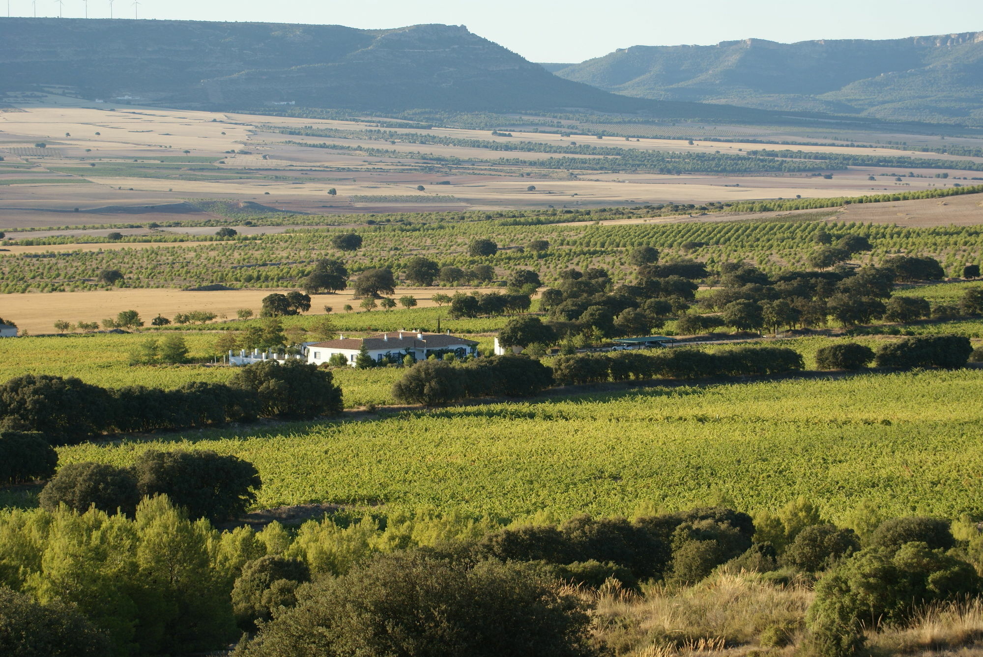 Finca El Romeral Alpera Exterior foto