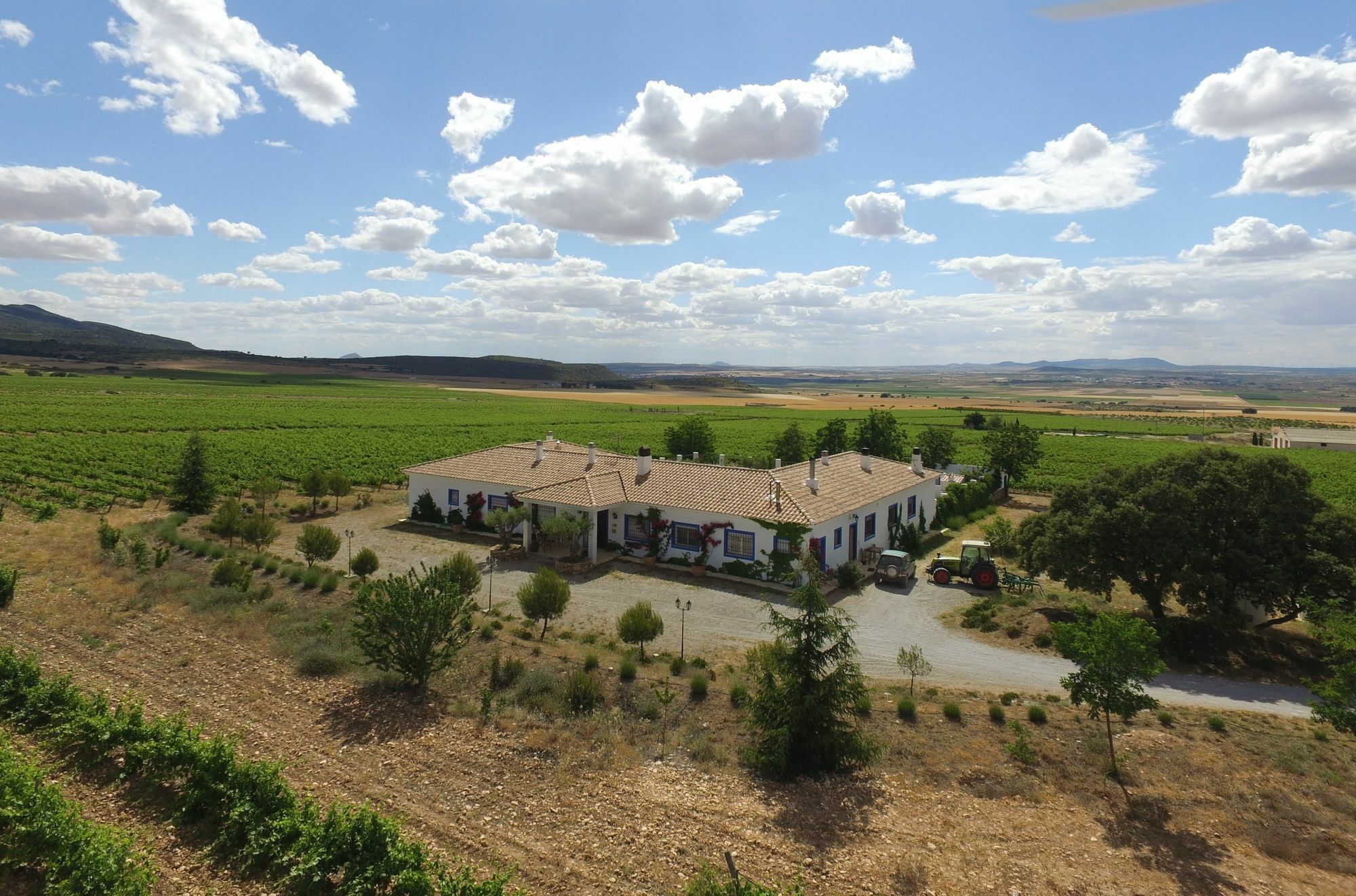 Finca El Romeral Alpera Exterior foto