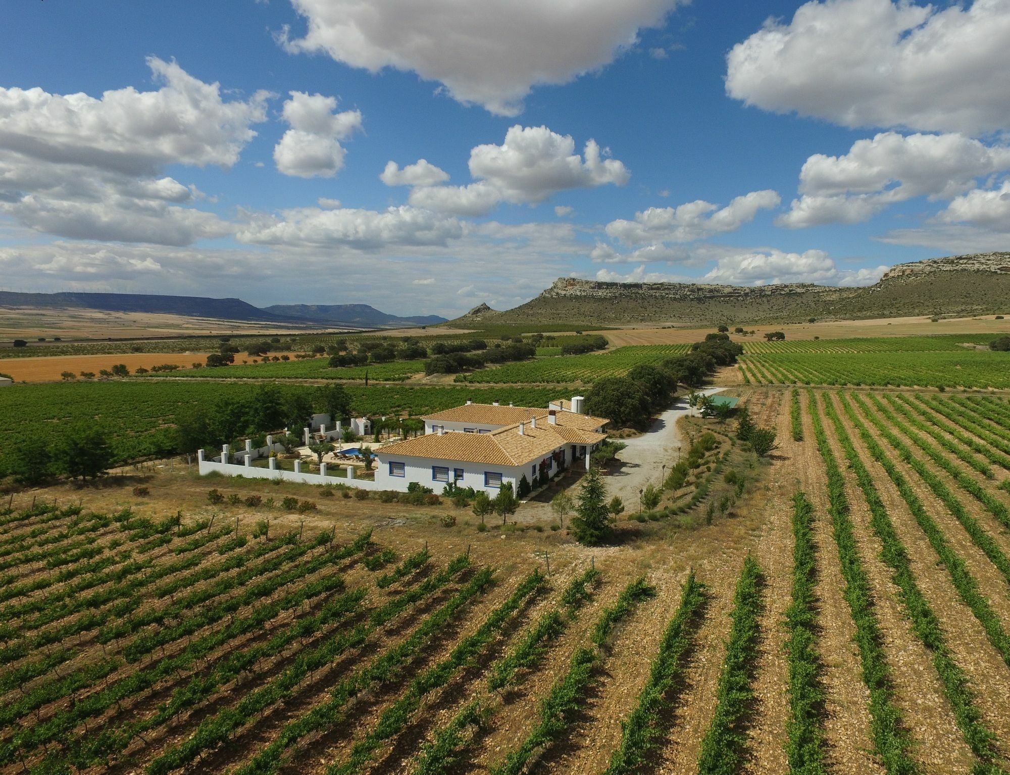 Finca El Romeral Alpera Exterior foto